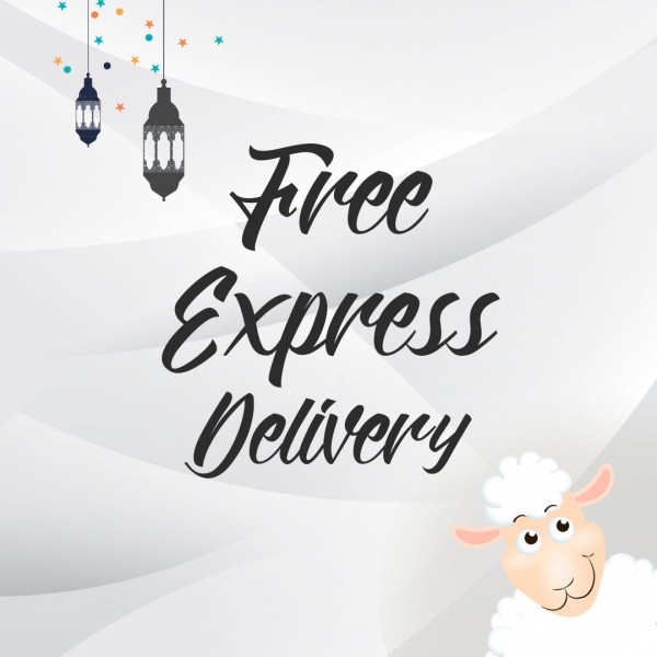 Бесплатная экспресс доставка