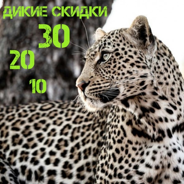 Успей купить - скидки на новинки